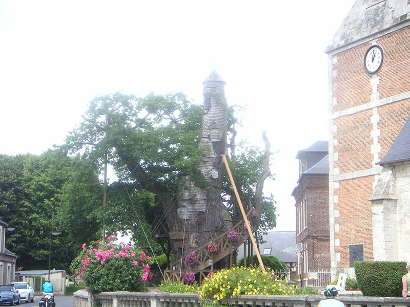 Chapel-Oak of Allouville-Bellefosse