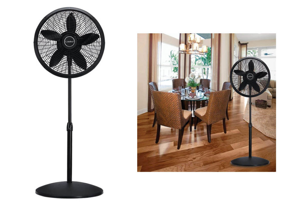 Top 10 Rated Pedestal Fans for Living Room of (2022) Review Any Top 10