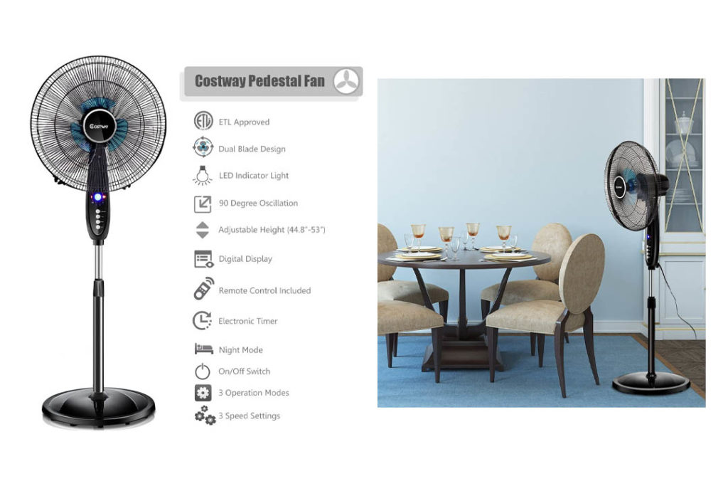 Top 10 Rated Pedestal Fans for Living Room of (2022) Review Any Top 10