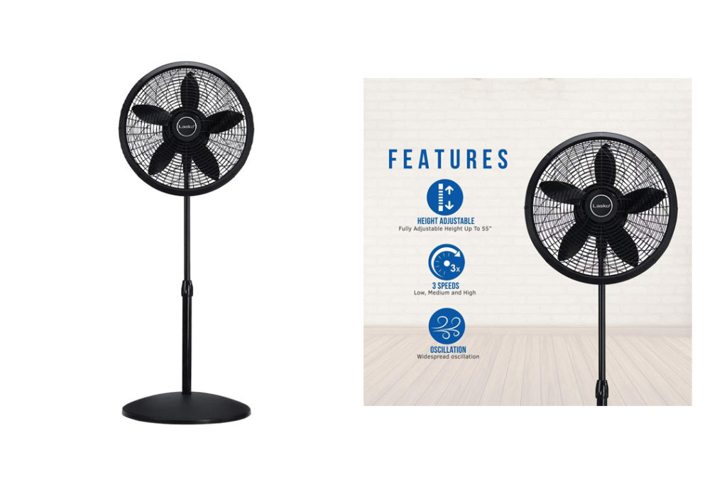 Top 10 Best Cooling Floor Fans for Living Room of (2023) Review Any